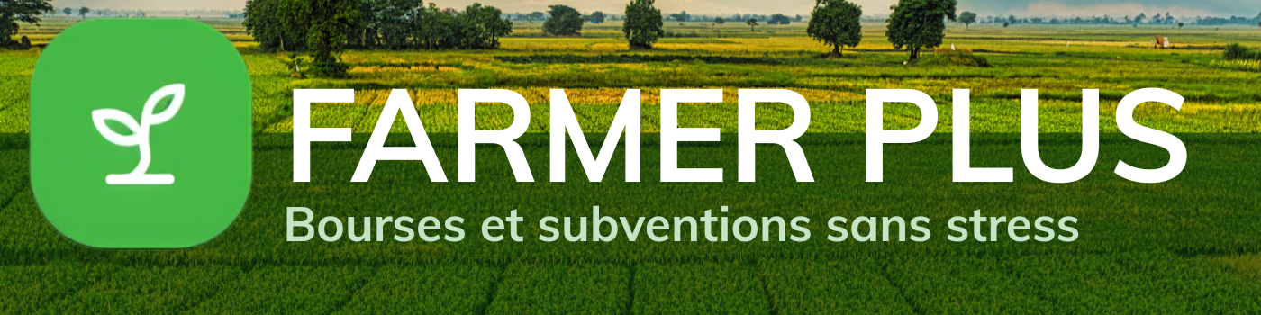 business zone nagłówek